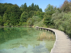 Boardwalk