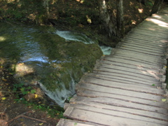 Boardwalk over waterfall