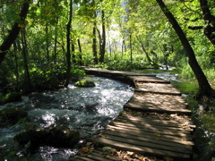 Area between lakes