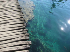 Another view