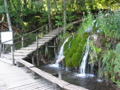 Boat dock 2