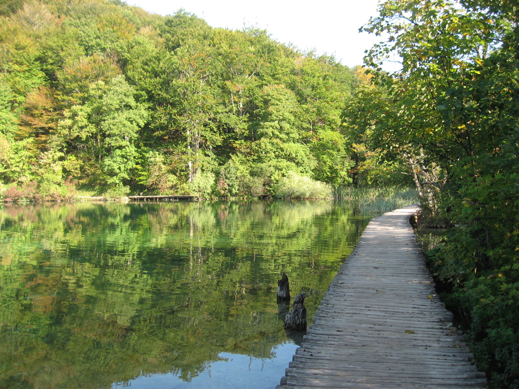 Boardwalks