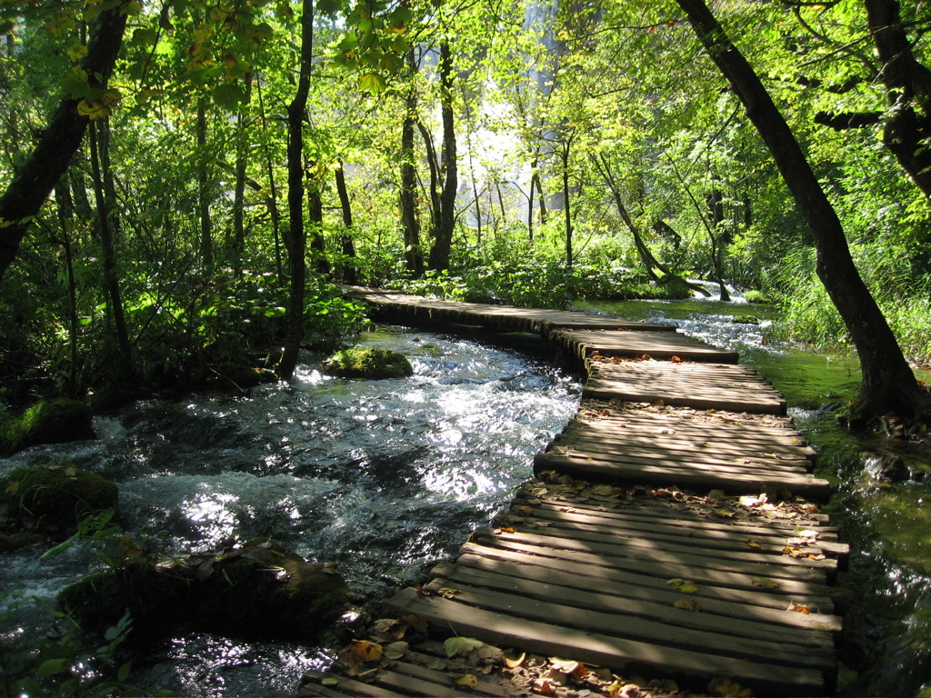 Area between lakes