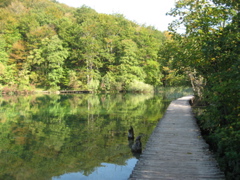 Boardwalks