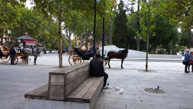 Carriage driver taking a break