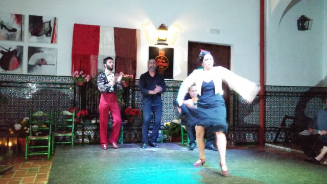 Flamenco at La Casa de Flemenco. (Wish we could have taken photos when she had on the colorful dress with long heavy train.)